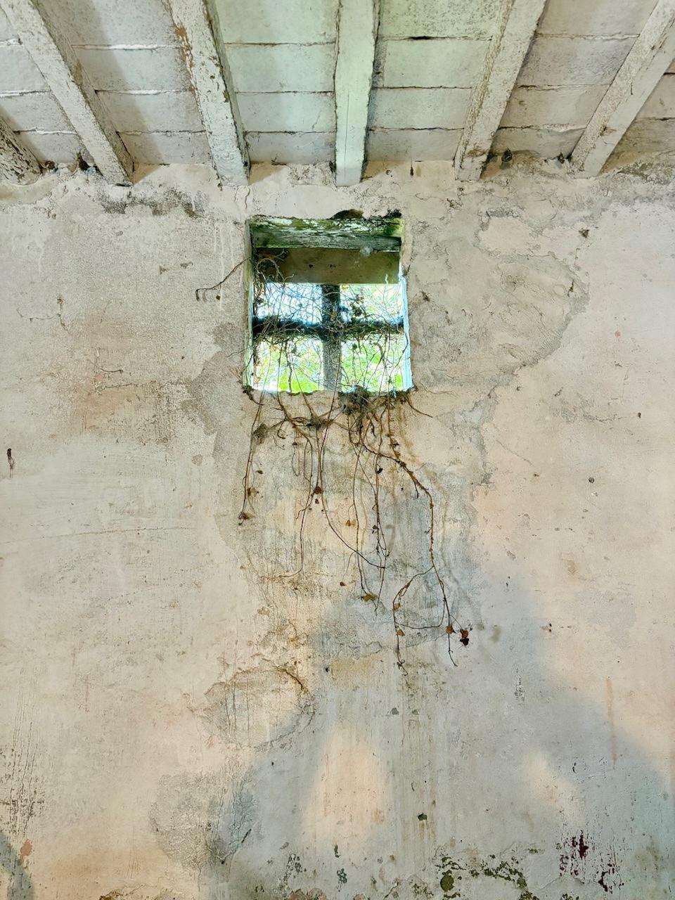  - foto 28