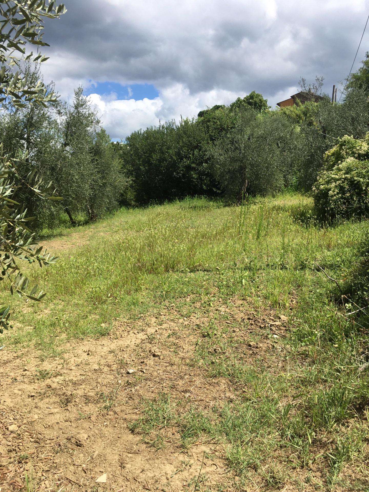  - foto 35