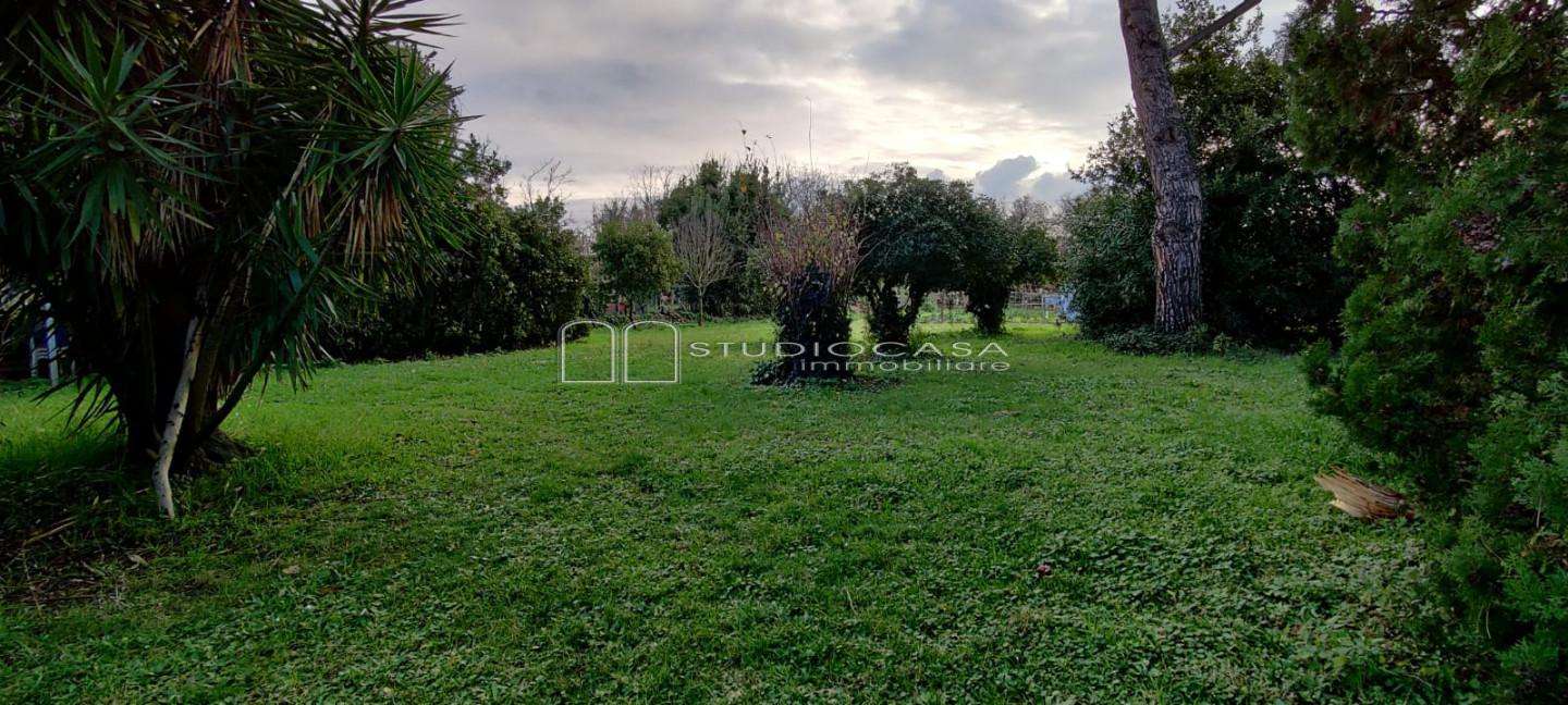  - foto 23