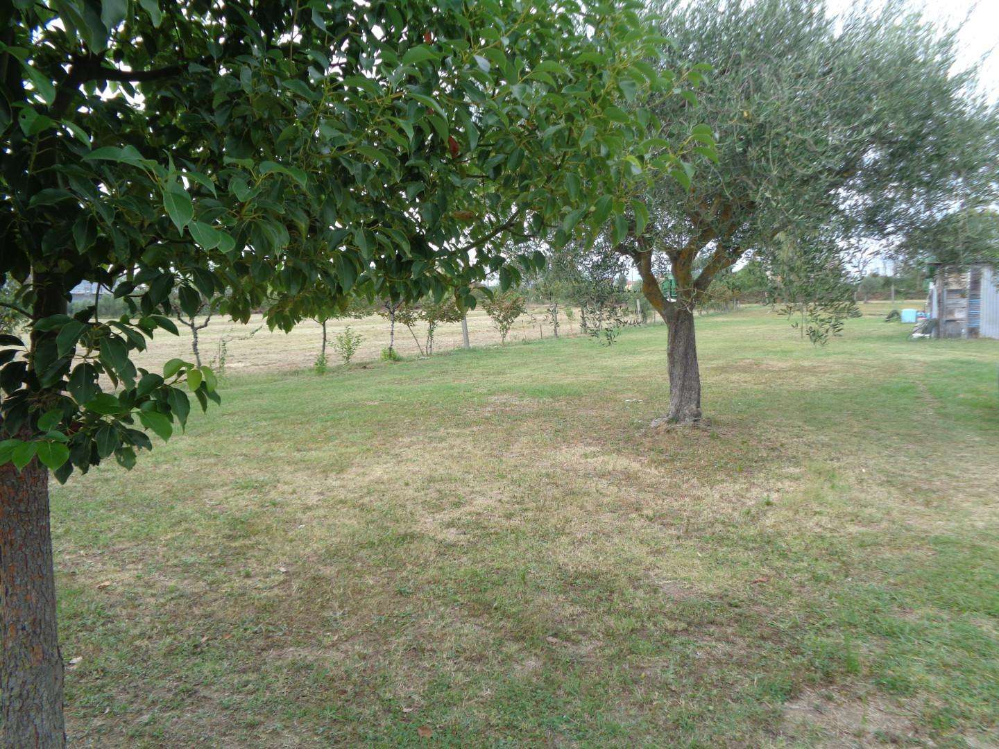  - foto 5