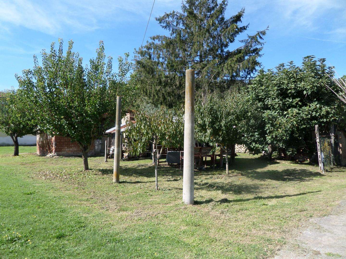  - foto 31