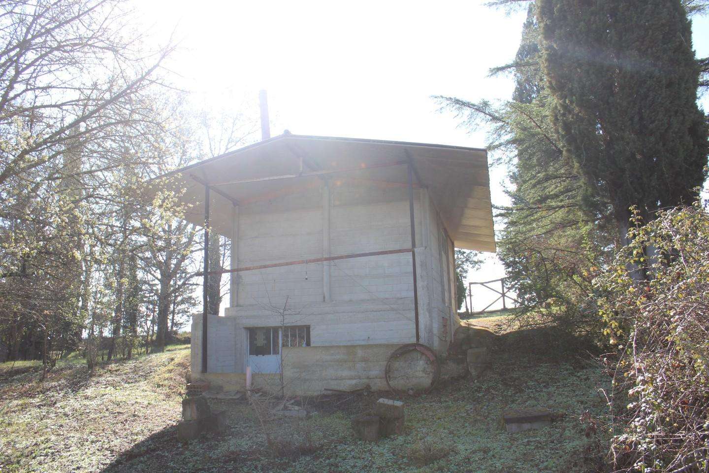  - foto 10