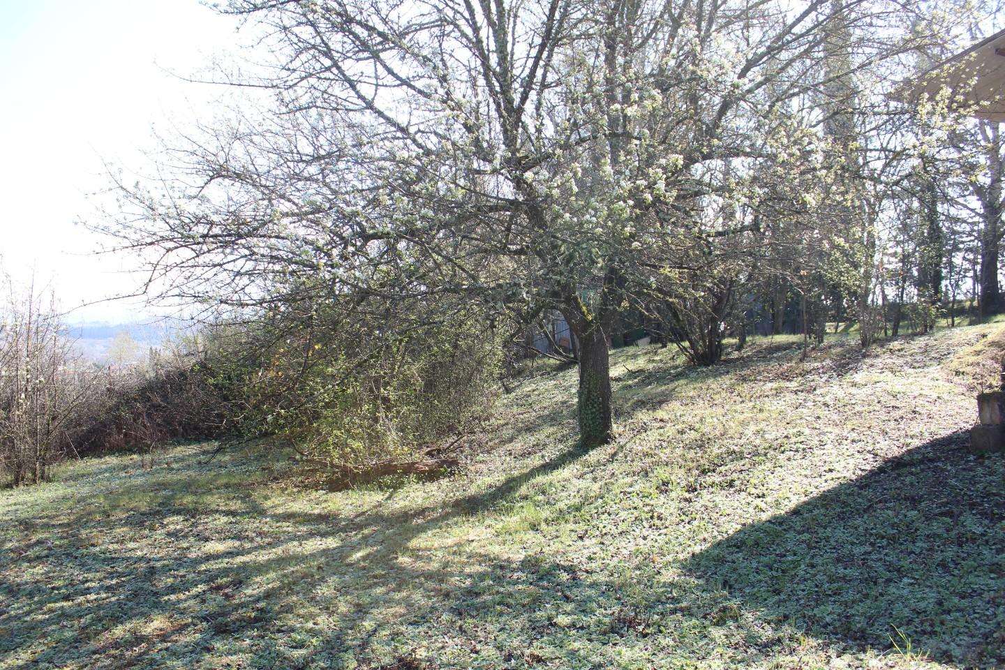  - foto 11