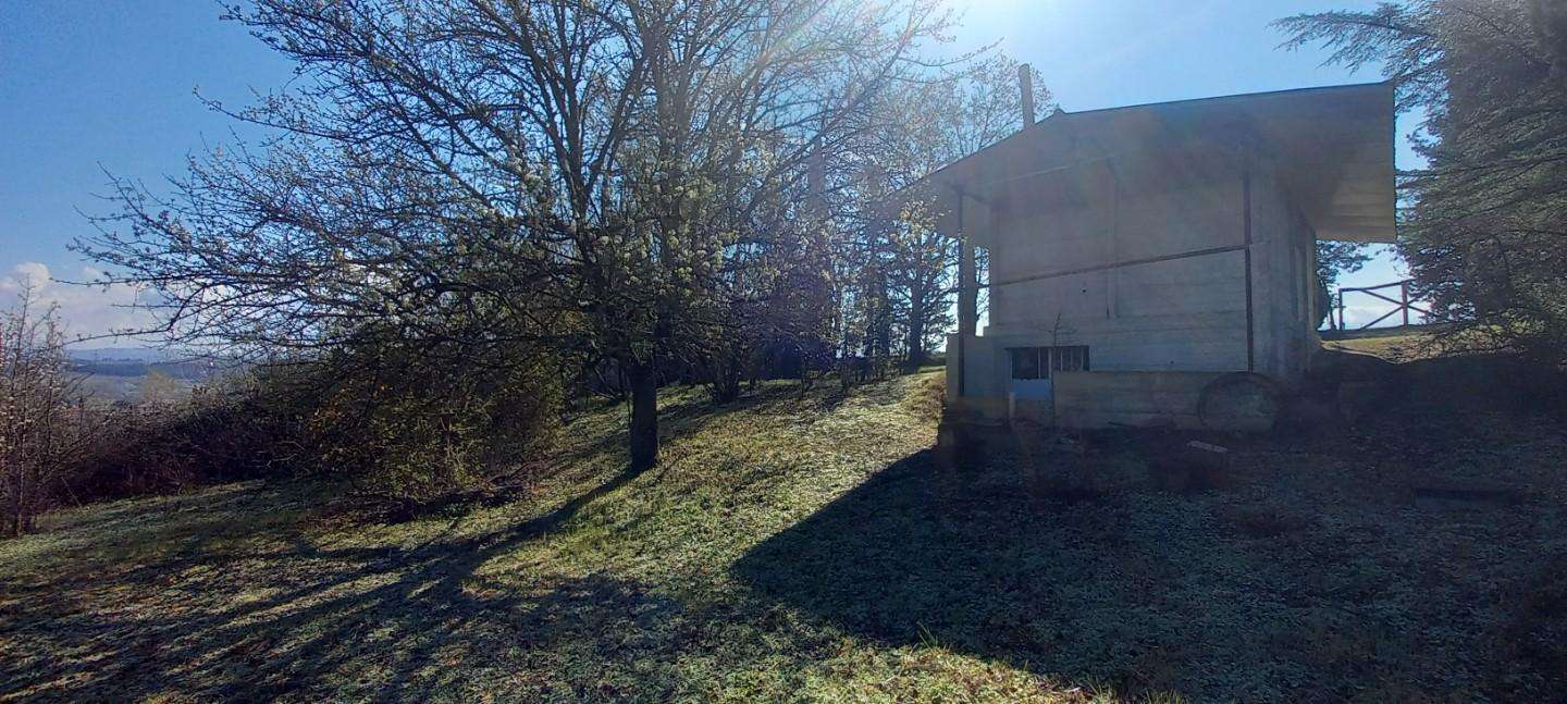  - foto 2