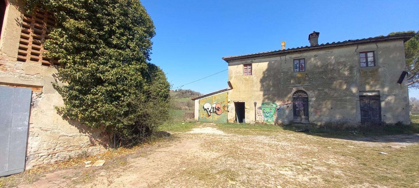 immagine annuncio 7 di 14