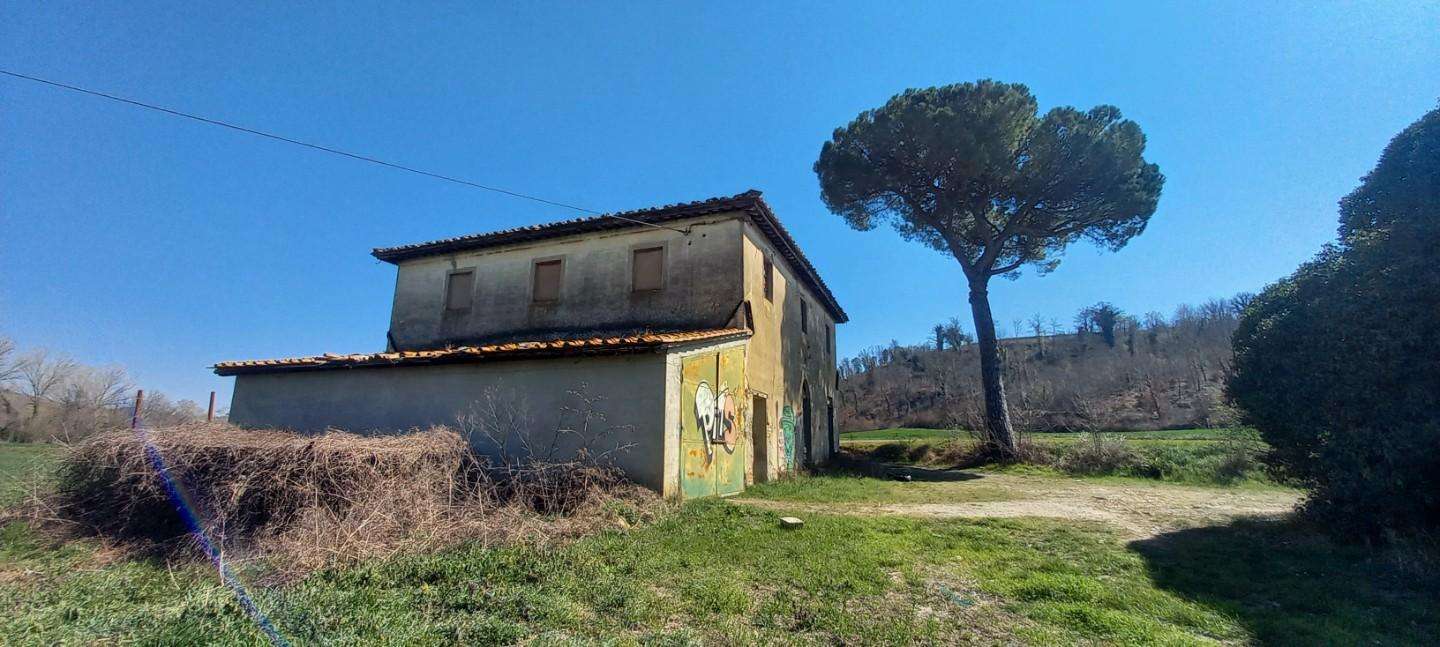 immagine annuncio 8 di 14