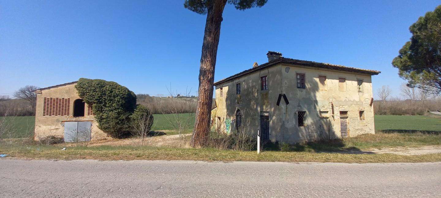 immagine annuncio 10 di 14