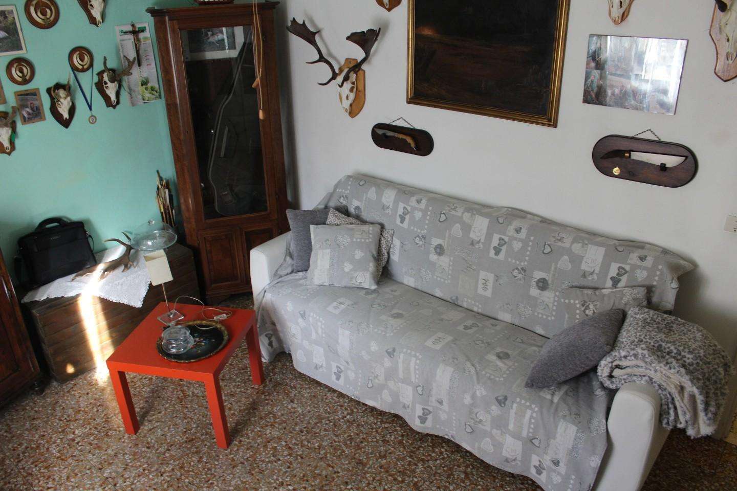  - foto 7