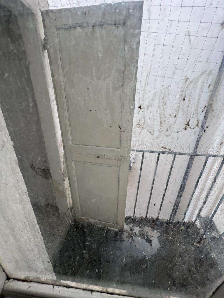  - foto 24