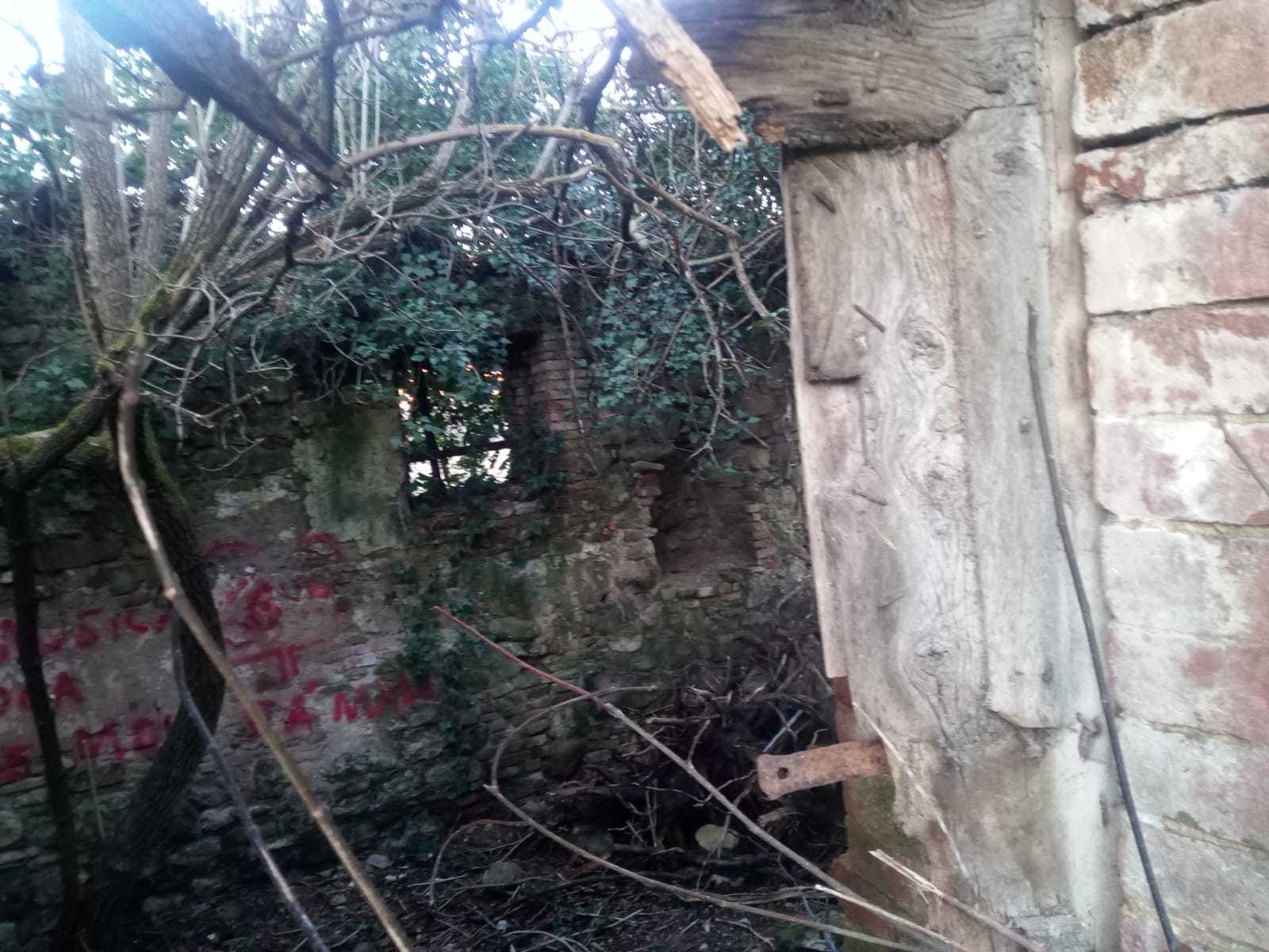  - foto 18