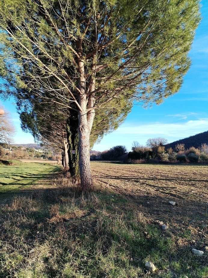  - foto 4