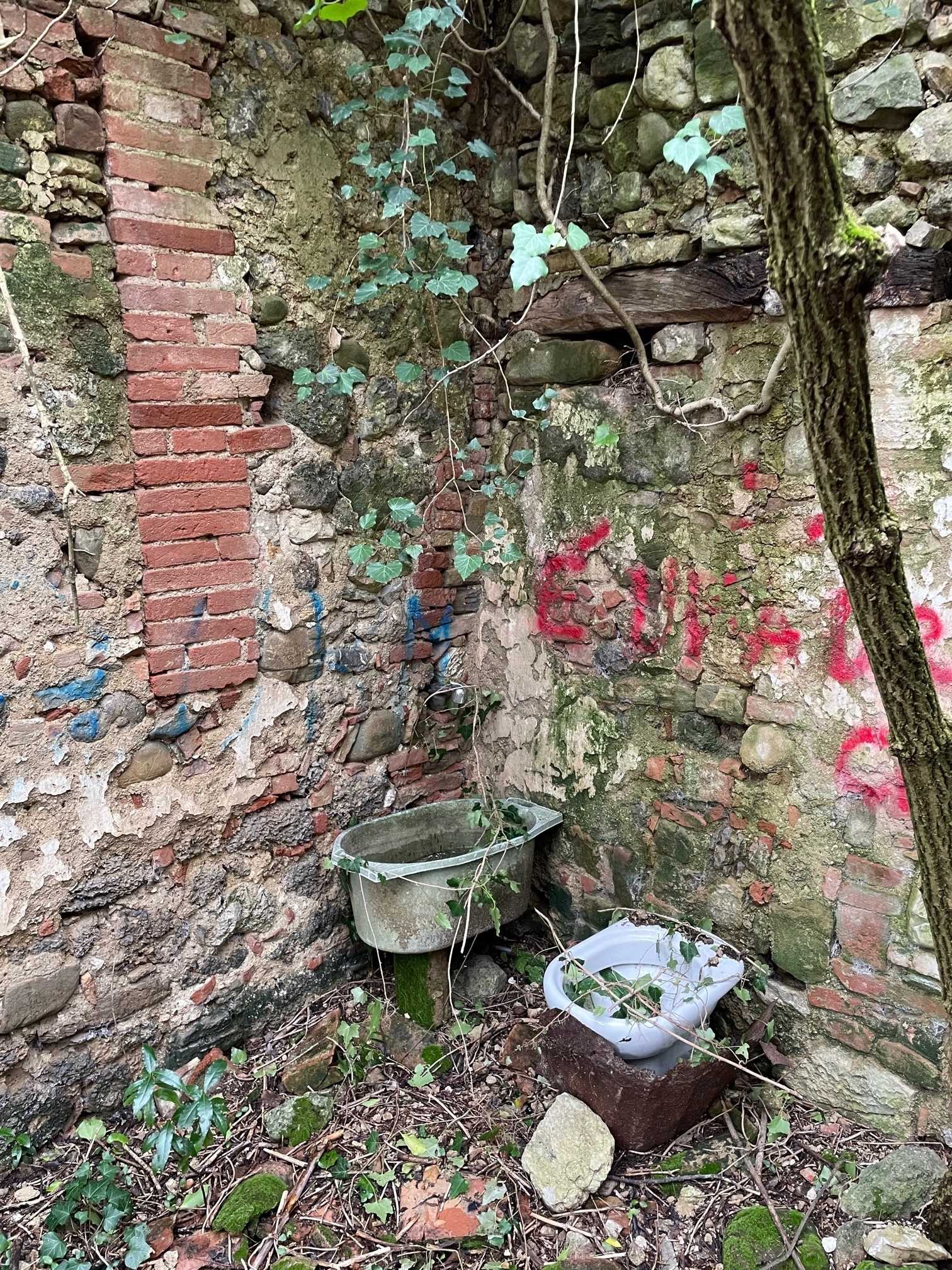  - foto 7
