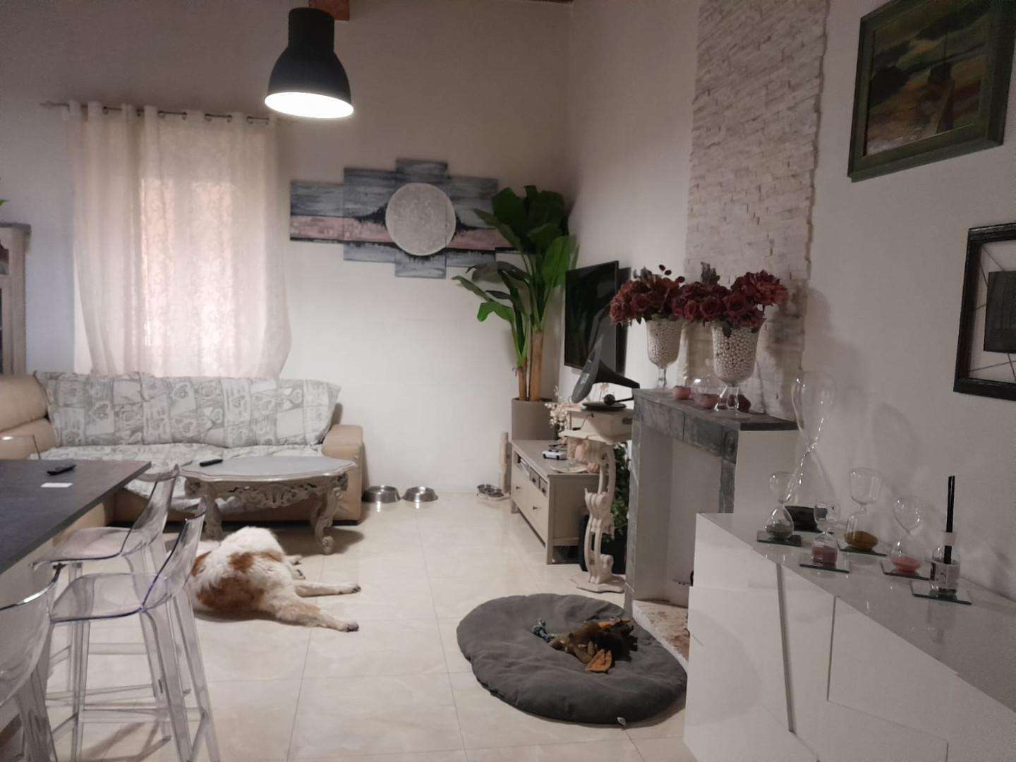  - foto 3