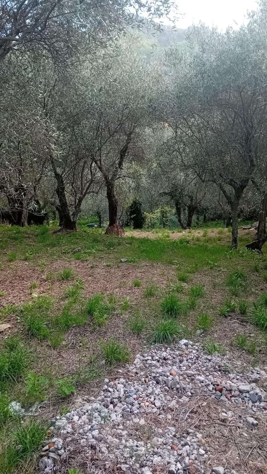  - foto 17