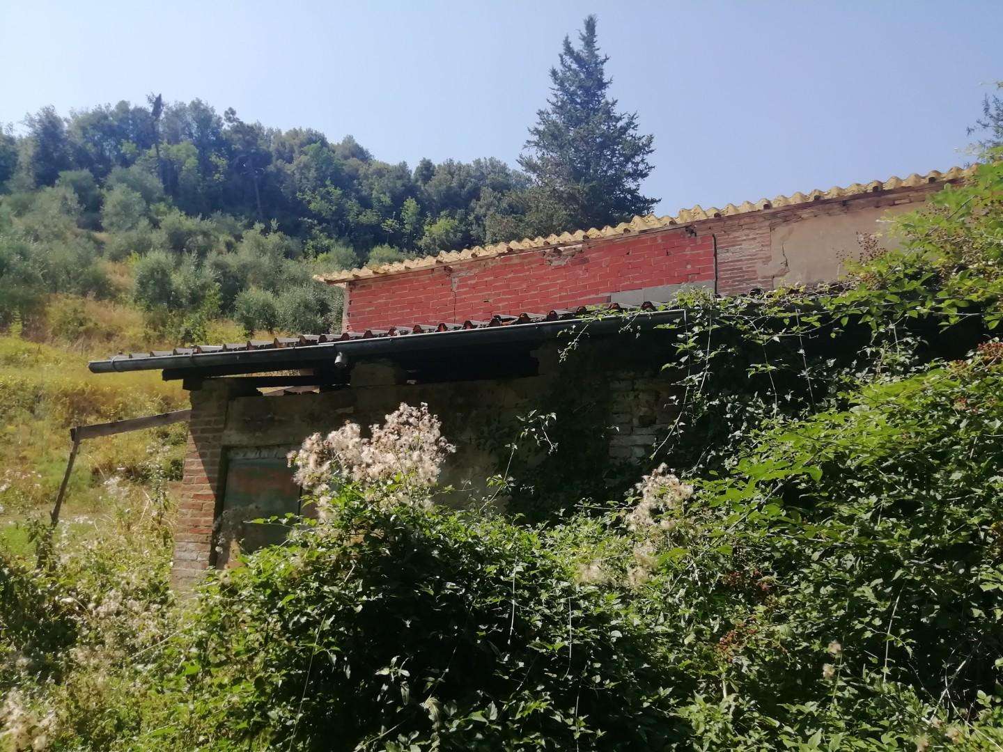 immagine annuncio 5 di 11