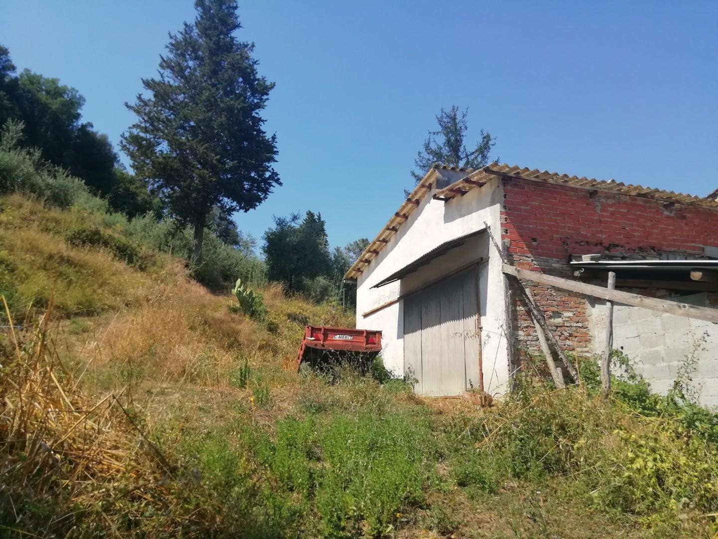 immagine annuncio 9 di 11
