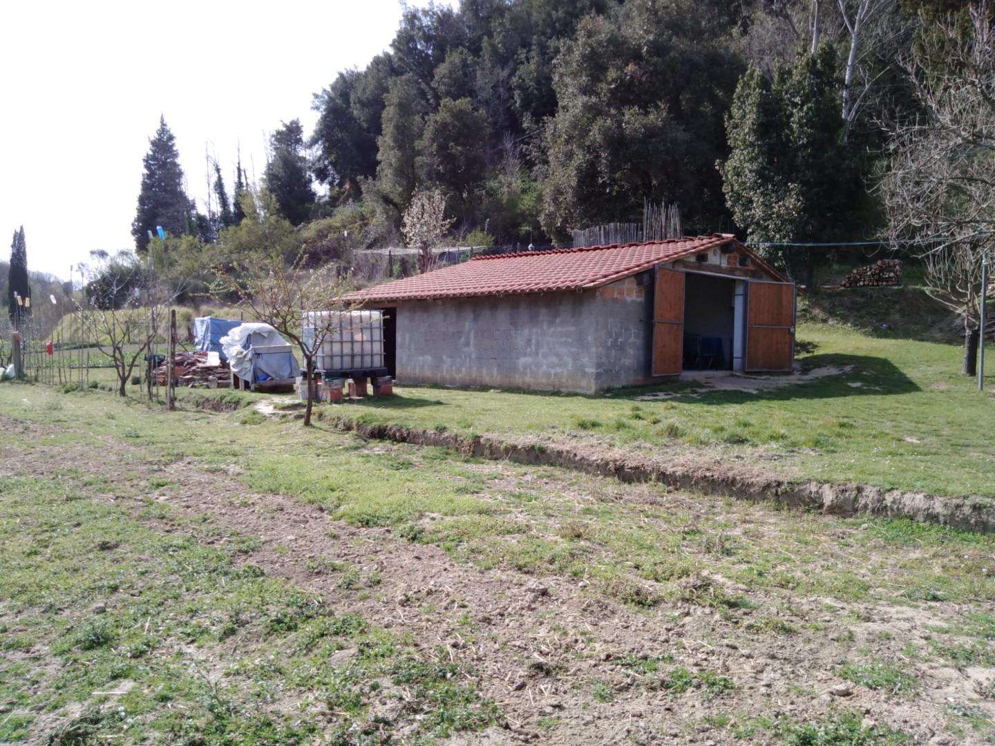 immagine annuncio 11 di 13