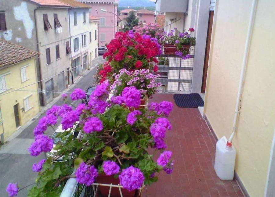  - foto 20