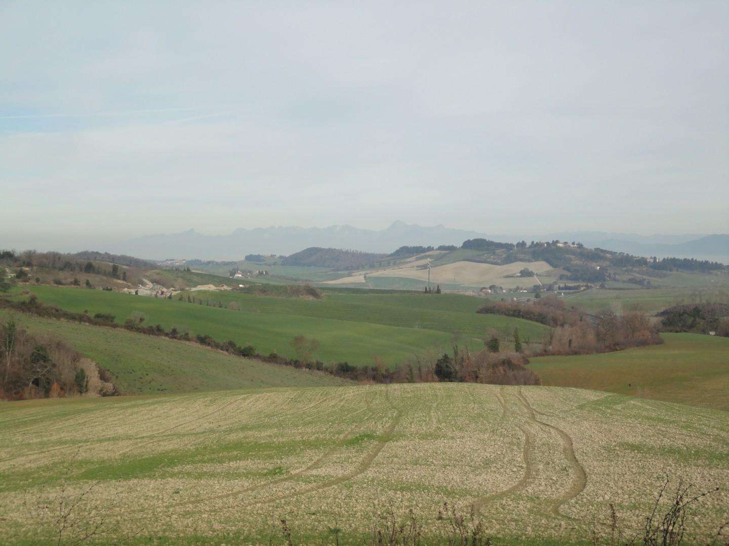  - foto 13