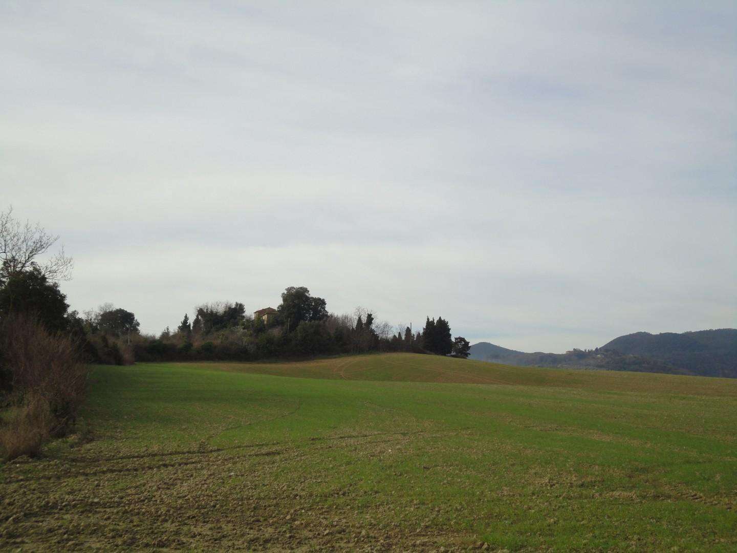  - foto 17