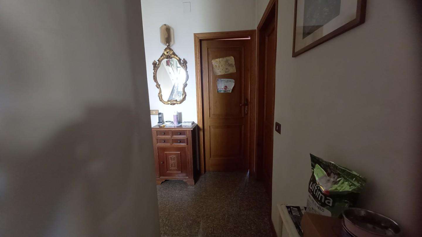  - foto 33