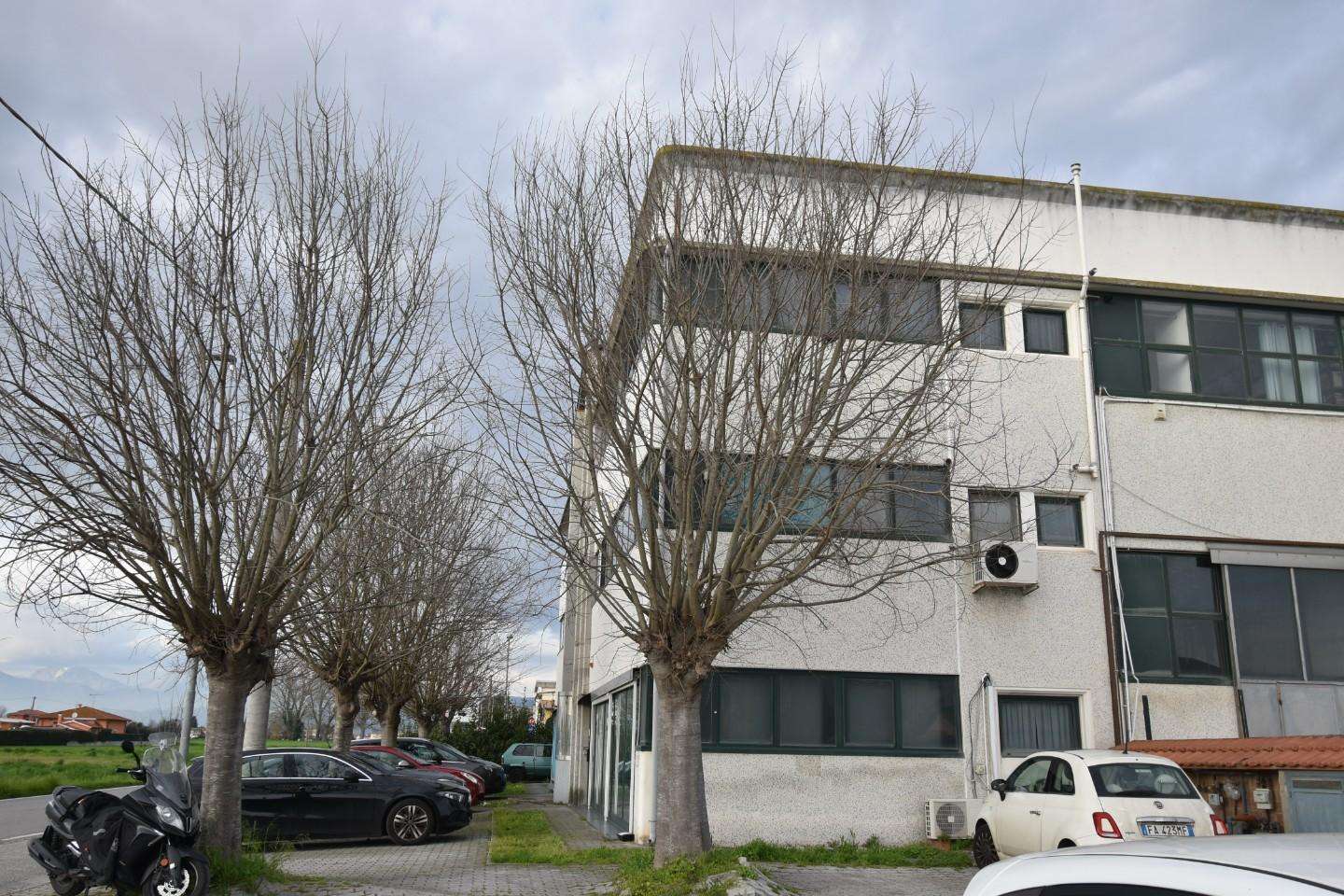  - foto 29