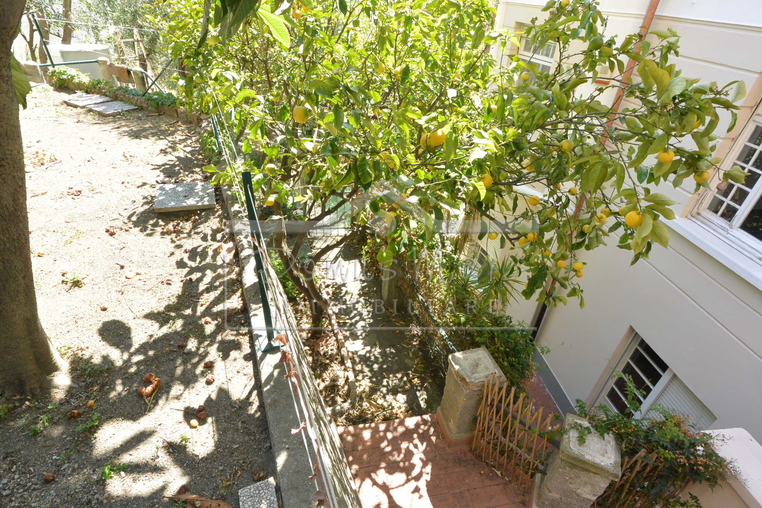  - foto 23