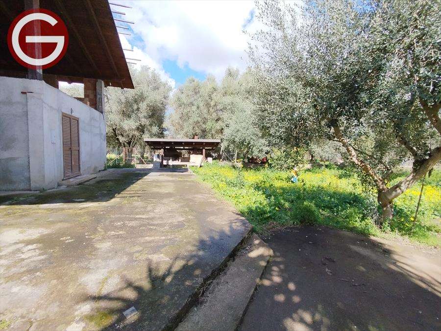 immagine annuncio 5 di 14