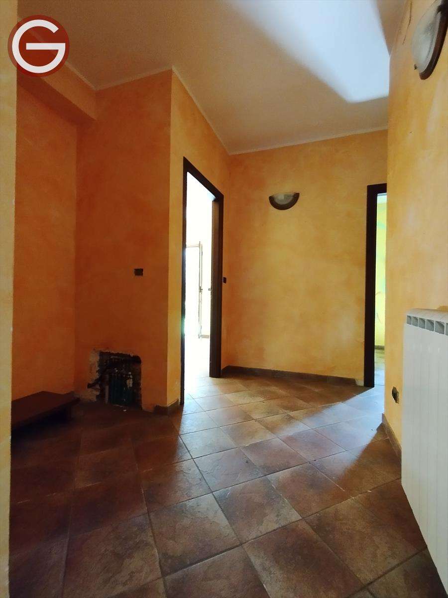 immagine annuncio 9 di 14