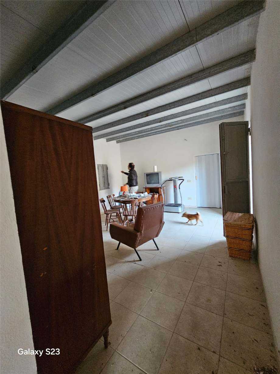  - foto 7
