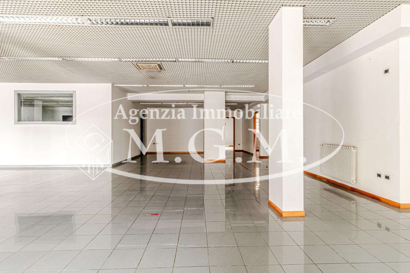  - foto 11