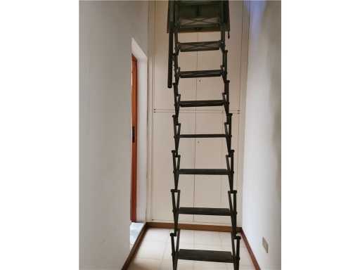  - foto 34