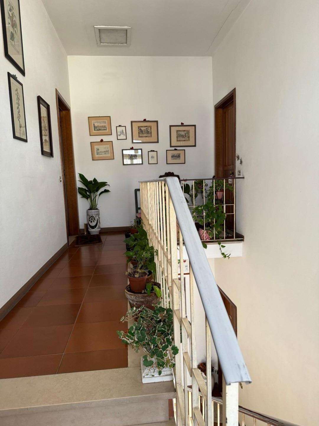  - foto 14