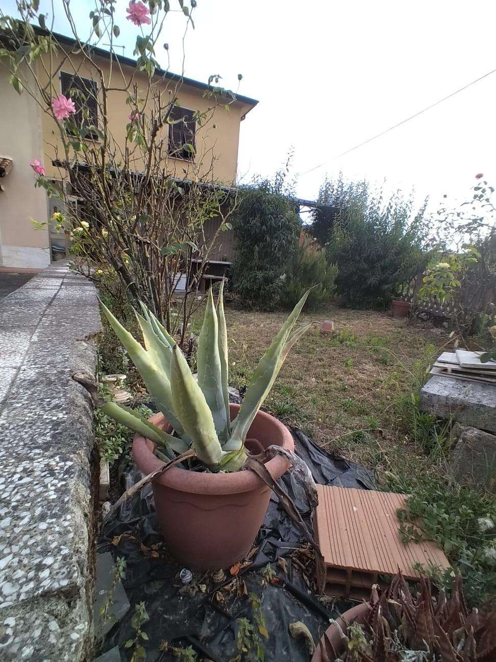  - foto 2