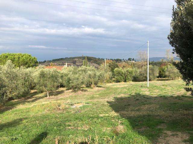  - foto 14