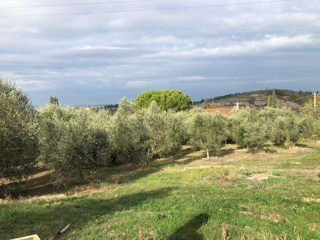 - foto 15