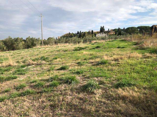  - foto 16