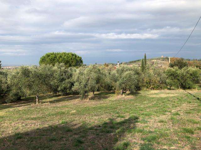  - foto 17
