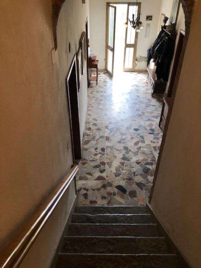  - foto 6