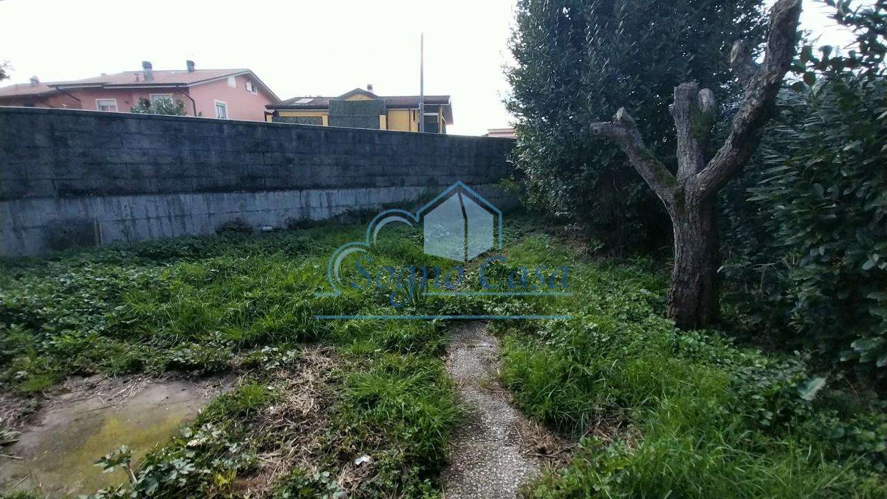  - foto 35