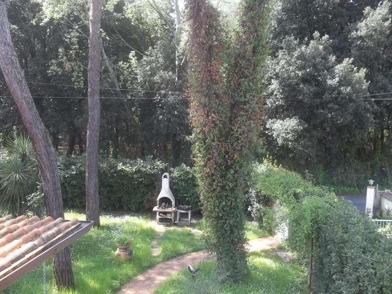  - foto 7