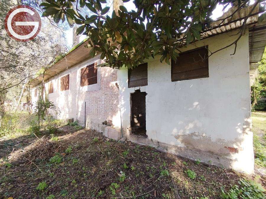 immagine annuncio 6 di 9