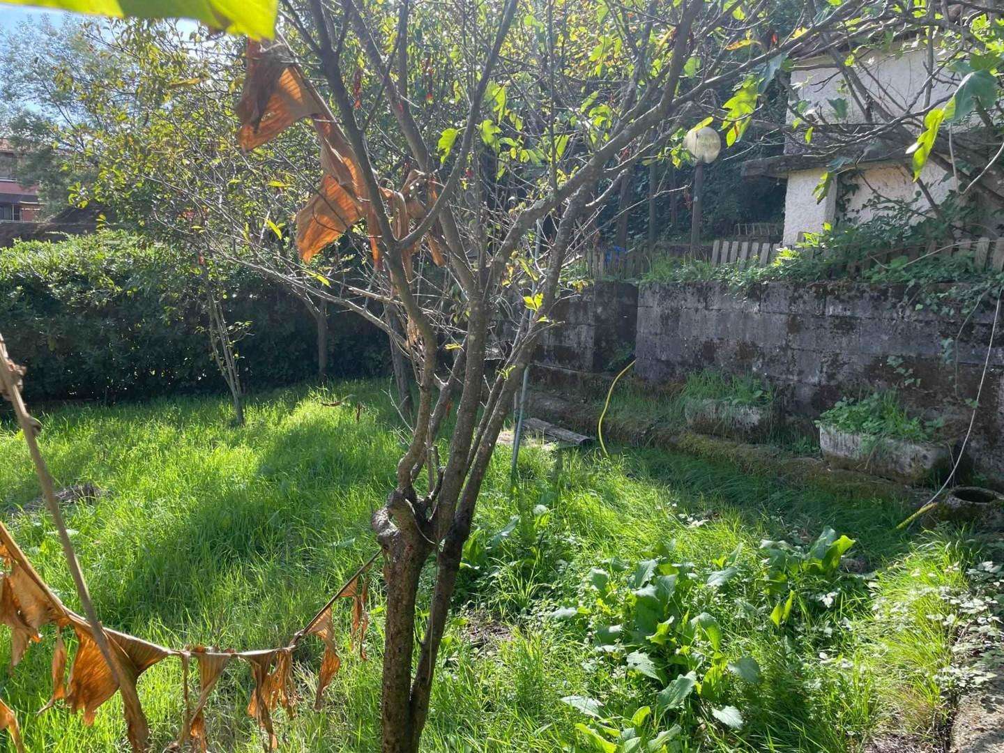  - foto 15
