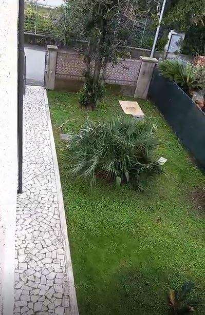 Porzione di casa Via delle Pinete,  87, Massa