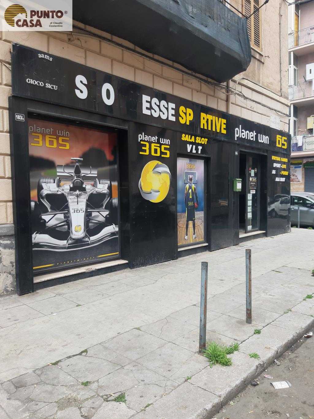  - foto 11