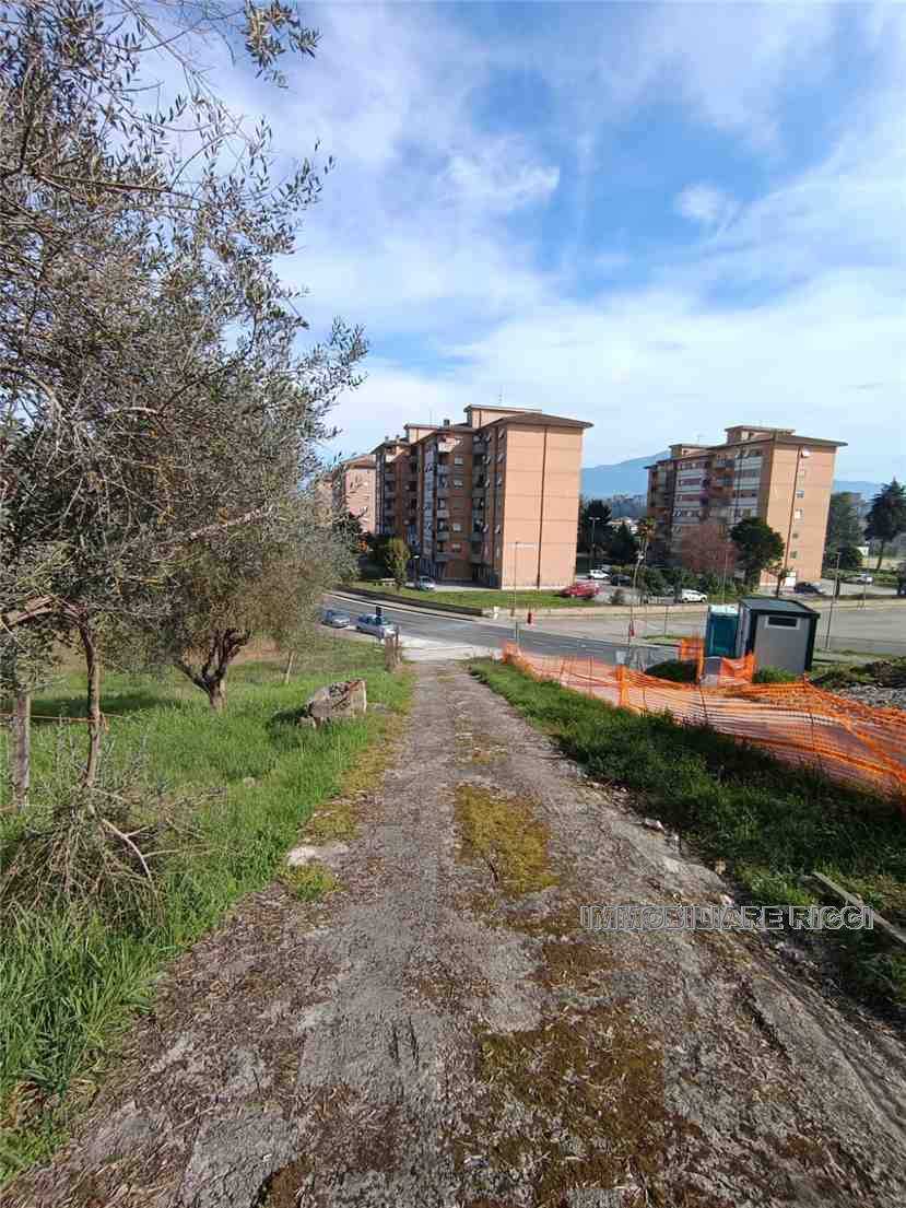  - foto 11