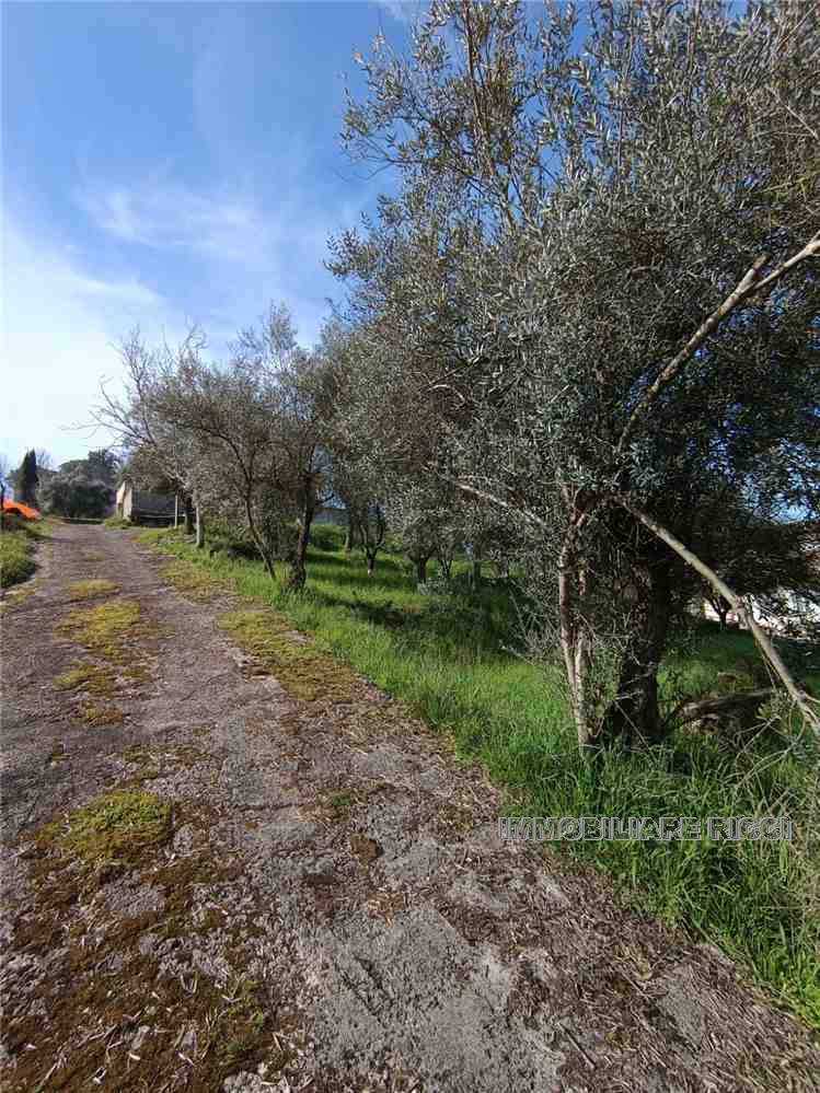  - foto 12