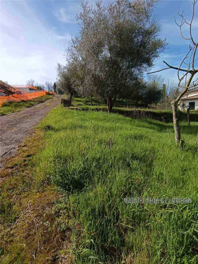  - foto 13