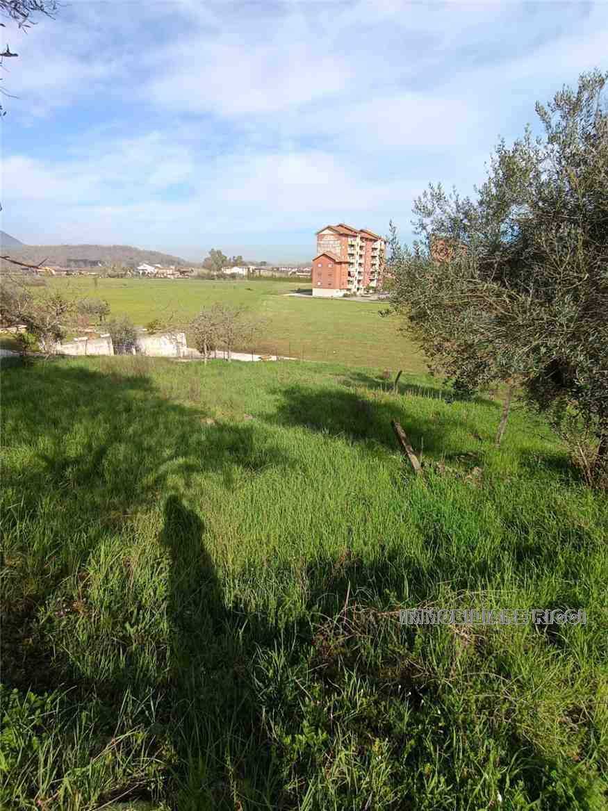  - foto 14