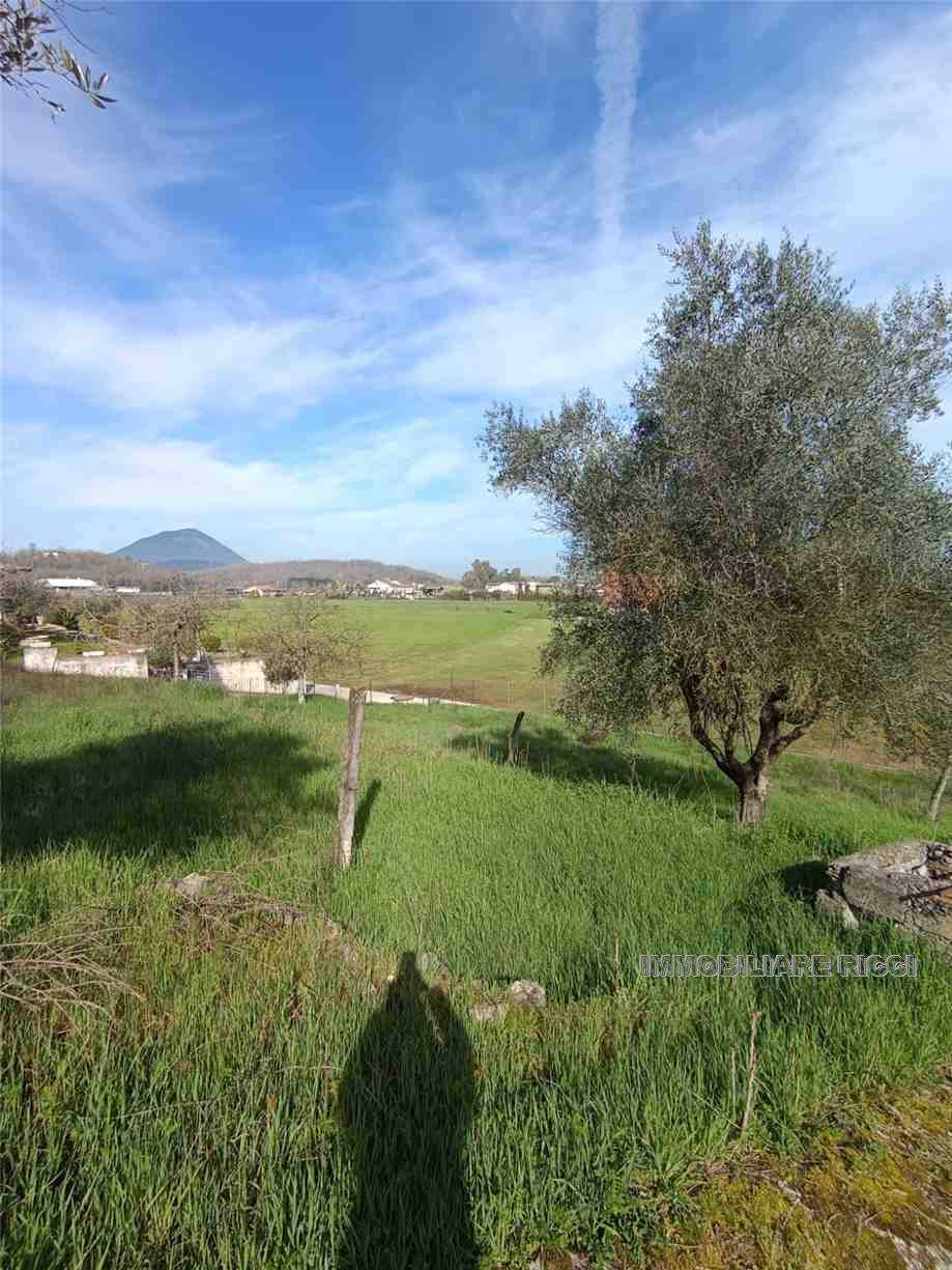  - foto 7